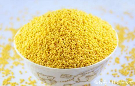 吃堪|小米是''狗尾草''驯化而来，营养很高，这样吃堪比人参鹿茸