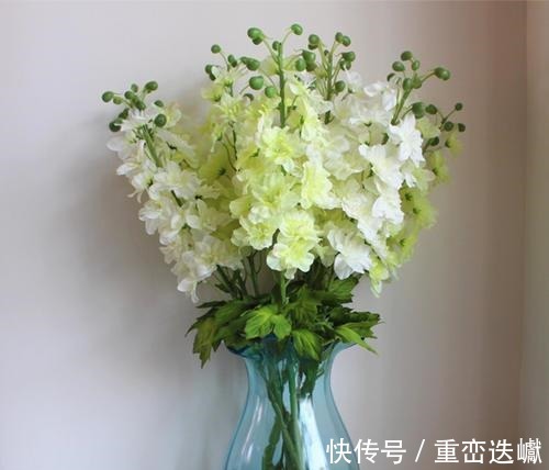 家里万万不要养这几种花,好多人不听劝,难怪身体会越住越差