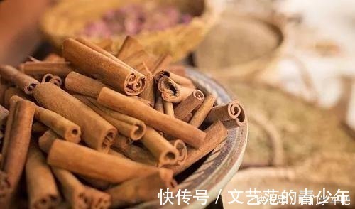 入味|不论卤什么肉，只要加“这6种”香料，肉香软烂，越炖越入味！