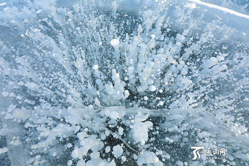 赛里木湖绝美冰泡引游客争睹奇观