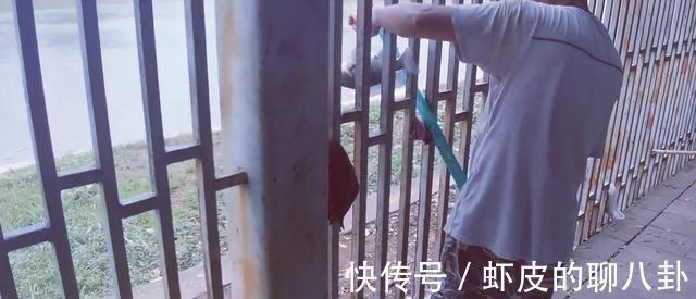 越南|在中国境内钓越南鱼,广西东兴俩男子玩出了新花样,神一样的存在