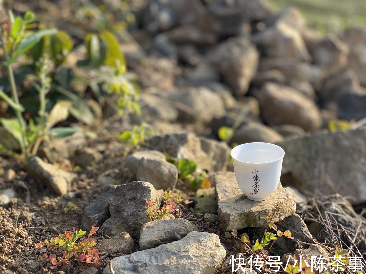 茶叶|白毫银针存冰箱3年，再拿出来会和新茶一样吗？如何存出好白茶？