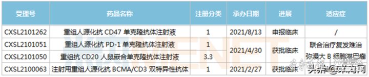 创新研发真章！新时代药业拿下7大重磅品种，5个品种首家过评