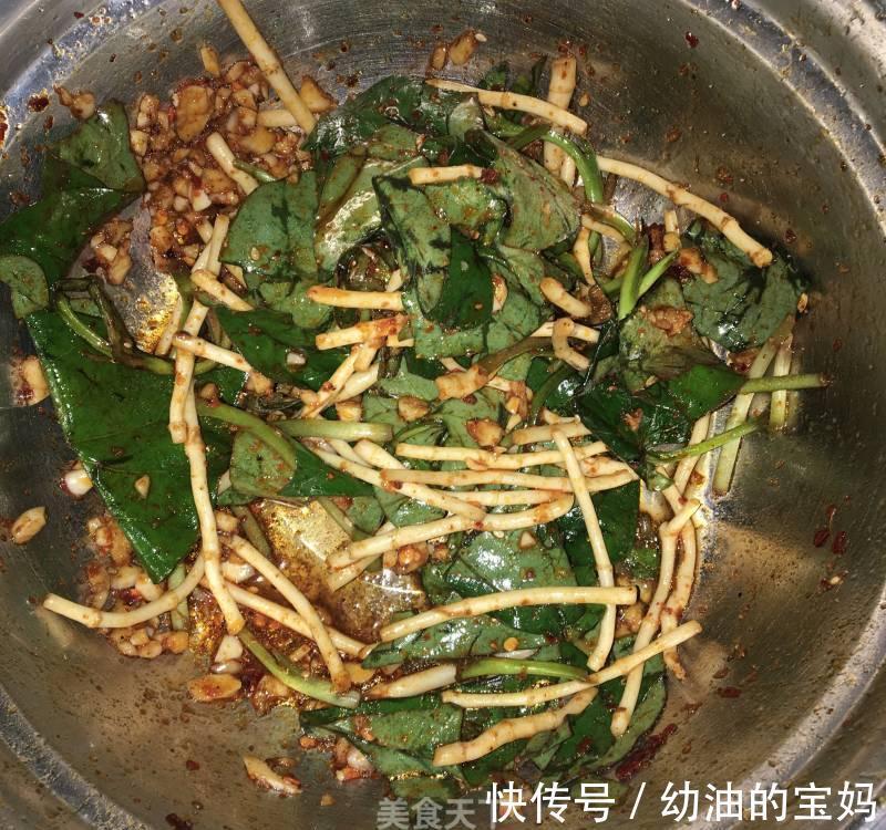 野葱|农村老家常见的15种“不知名”野菜,用对都是宝!你都吃过吗?