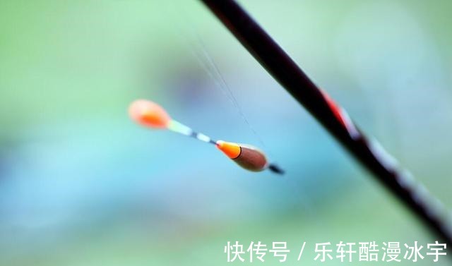 钓友|天冷口轻,浮漂没动静提竿却中鱼原因全在这3点!