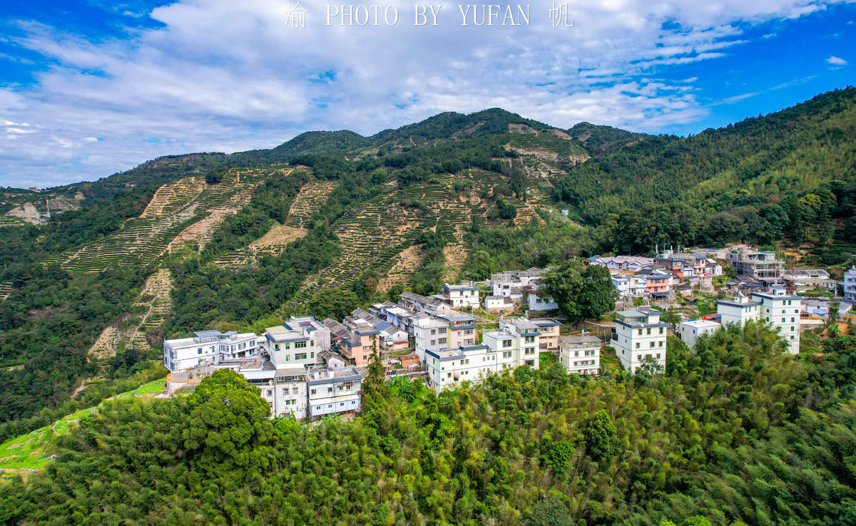 渝帆|藏在粤东大山里的世外桃源，形如山中半岛，村民因一片叶子而致富