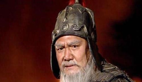 将军|蜀汉的四征将军，任职将领共有十位，其中一人投降了曹魏