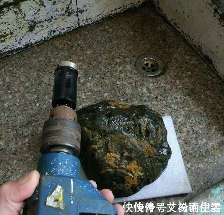 石头|大爷用石头来养花,越养越值钱,有人出1000块也不卖!