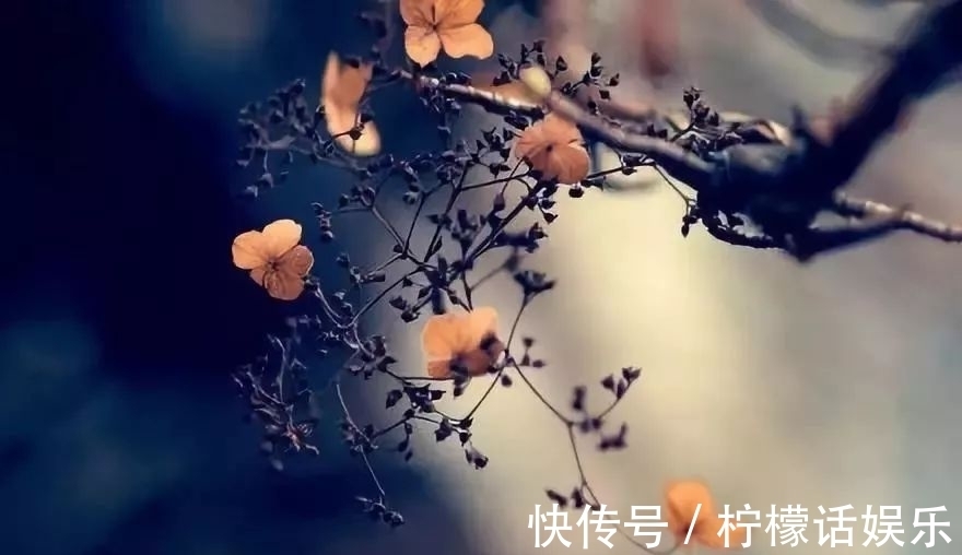 虚名$蜗牛角上争何事,石火光中寄此身。一曲满庭芳,笑对蜗角虚名