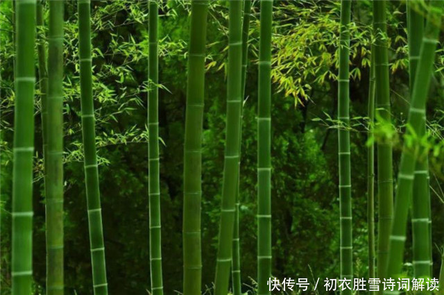 古诗词&古诗词中九首青青夏色:山青青,水青青,垂杨鸥不惊