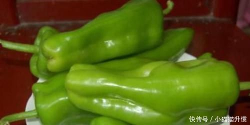 长寿|人到中年想长寿,不妨多吃以下3种食物,补血补肾,早吃早健康