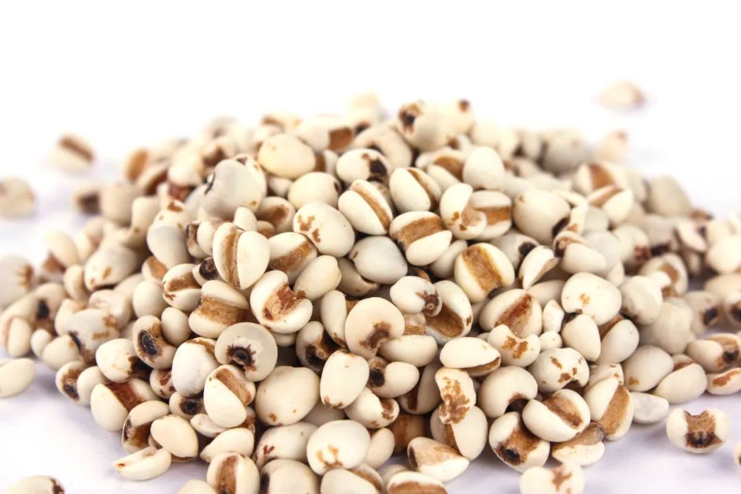 大腹皮|湿气太重,如何赶走它?用这4味中药泡水喝,或会有意外收获