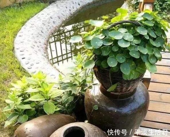 这些破烂不要扔,做成“小花盆”,个性又漂亮,比买的强“百倍”!