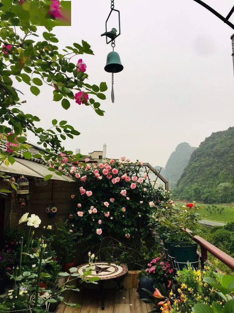 花园|六年前买了一套顶楼房，这个15㎡的露台花园，成了我的“桃花源”