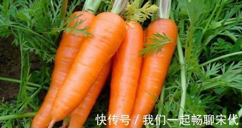 延年益寿|聪明人都在吃3种食物,补血养气、延年益寿,爱吃就赚了!