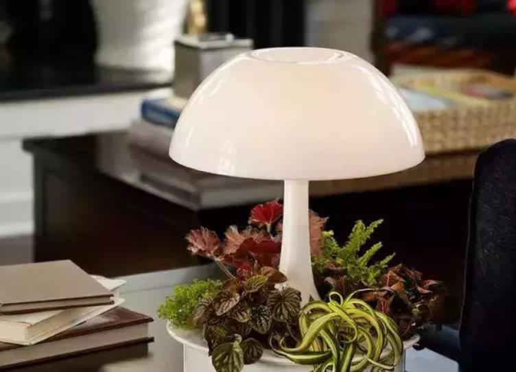 养花|哪些资源能被制作成养花“神器”？这4类全可以