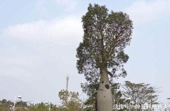 风情万种|最不注重男女隐私的国家，房子连墙壁都没有，当地美女风情万种