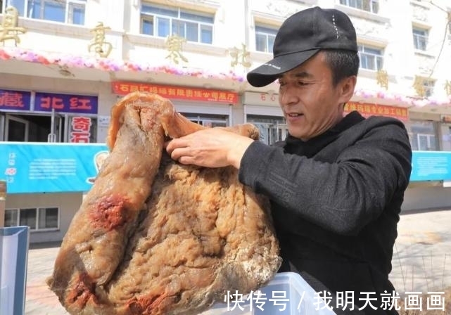 科学家们@一块卖出百万高价,太岁究竟是什么东西?科学研究揭开太岁之谜