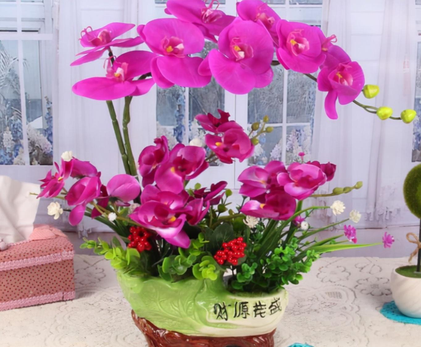 养蝴蝶兰,花谢后按这要求操作,开花就不是“一次性的”