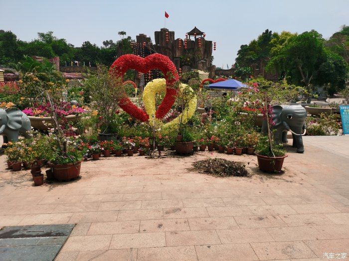 百花洲|六月花开畅游百花州