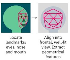 心怀|人脸识别登上Nature封面!看脸的世界,AI却心怀偏见