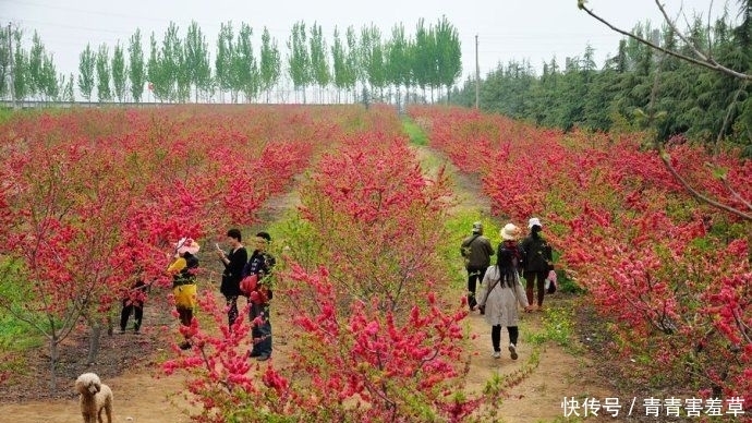 清幽古刹:焦作巡返圆通寺