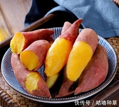 红薯|蒸红薯时,锅里放水就错了,教你一种方法,做出来比烤红薯还香甜