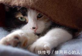 |幽默笑话:老板的公子是个富二代,从国外回来,狂追我一个女同事