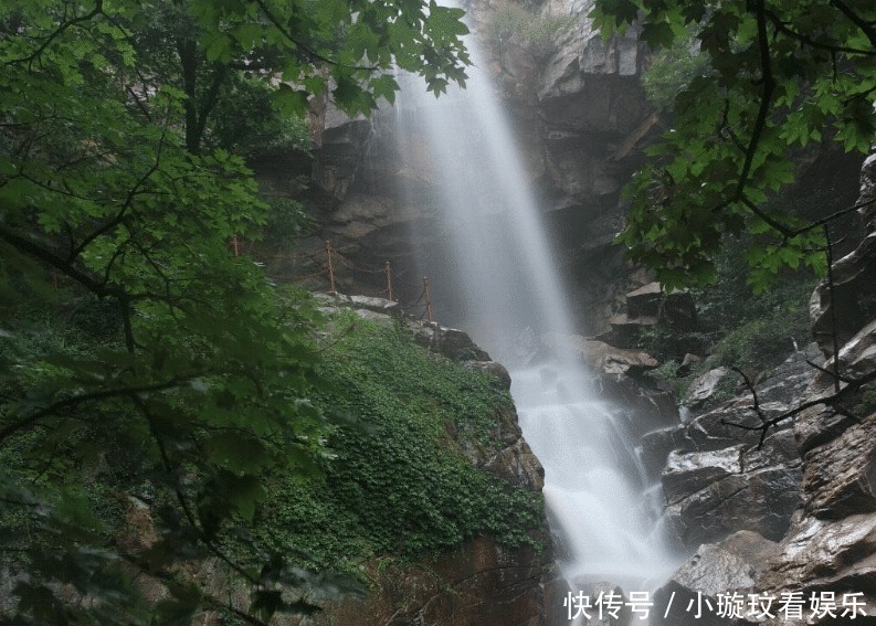 江苏一景区内，藏有千年银杏树王和百年红杏树！门票仅需30