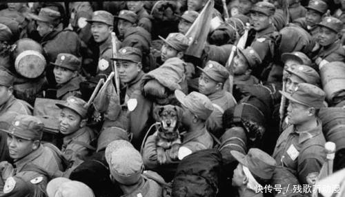 铁丝网|《没有铁丝网的战俘营》那些有趣的志愿军碧潼战俘营的故事