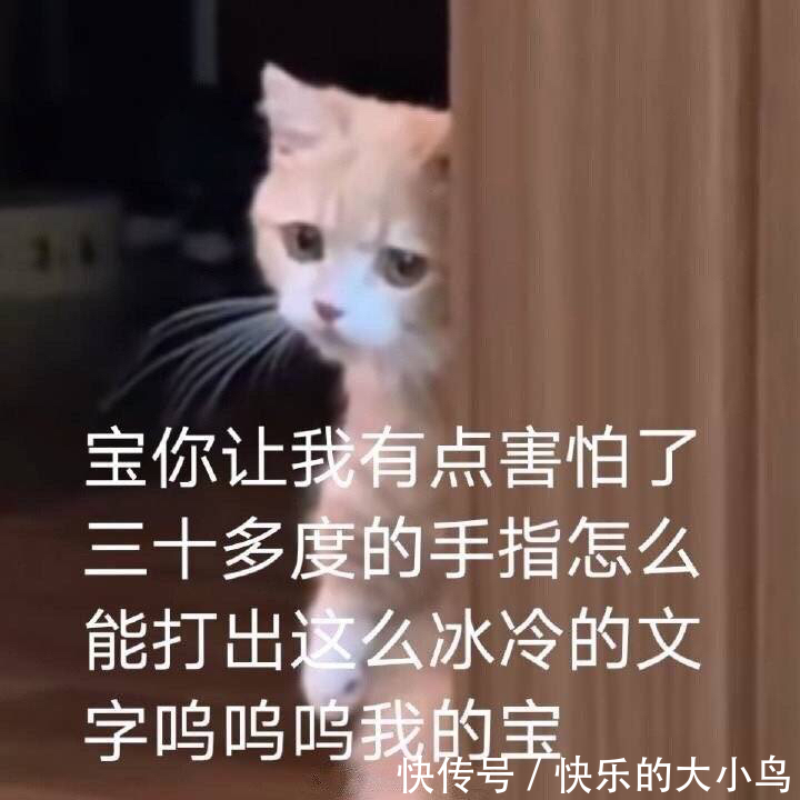 |一些搞笑女搞笑男必备的表情包