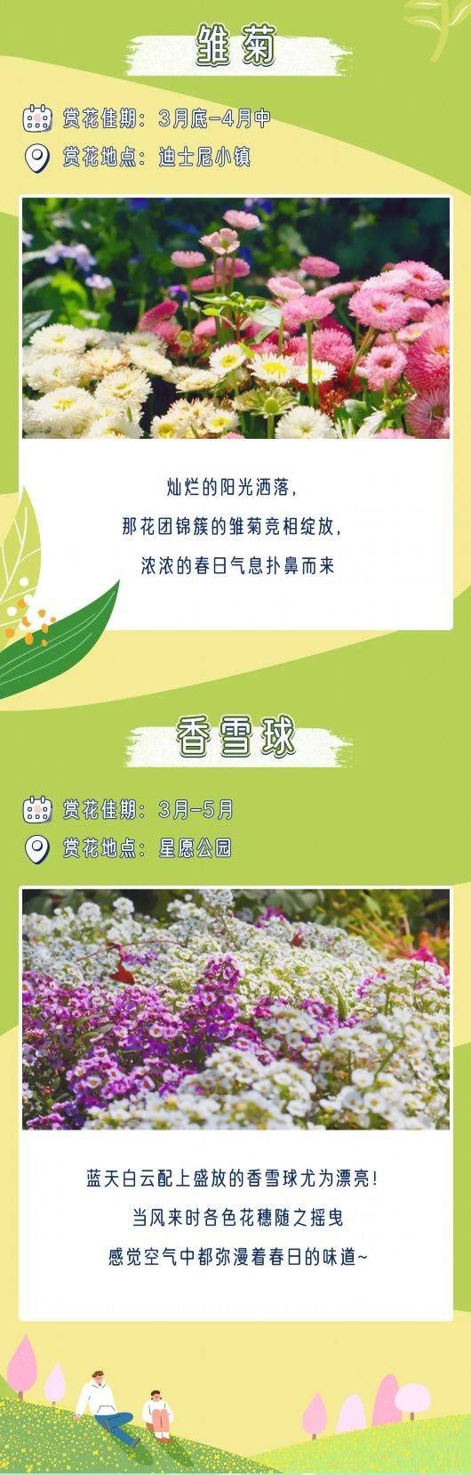 来这里，寻一场春的梦境吧