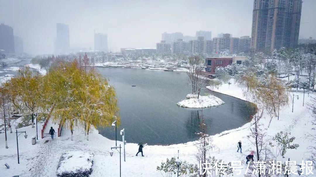 李蕾|组图｜雨花雪景还没赏够？看这里！惊艳nice“绝绝子”