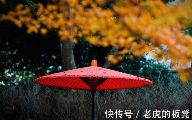 中国文化|大连“斥巨资打造日本风情街”遭网友们狂吐槽