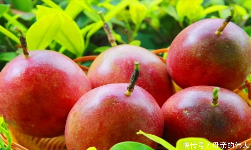 延缓衰老|聪明人爱吃3种食物，排毒养颜，延缓衰老，提高免疫力！