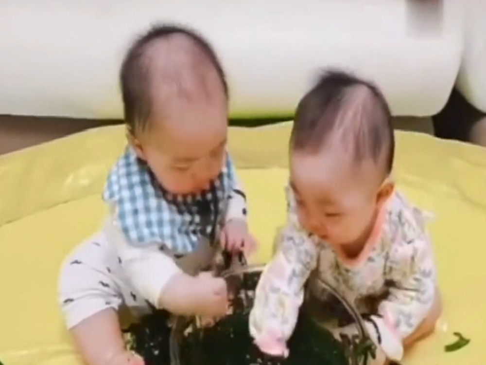 双胞胎坐在盆前吃海带，画面让人无法直视，有强迫症的看不了