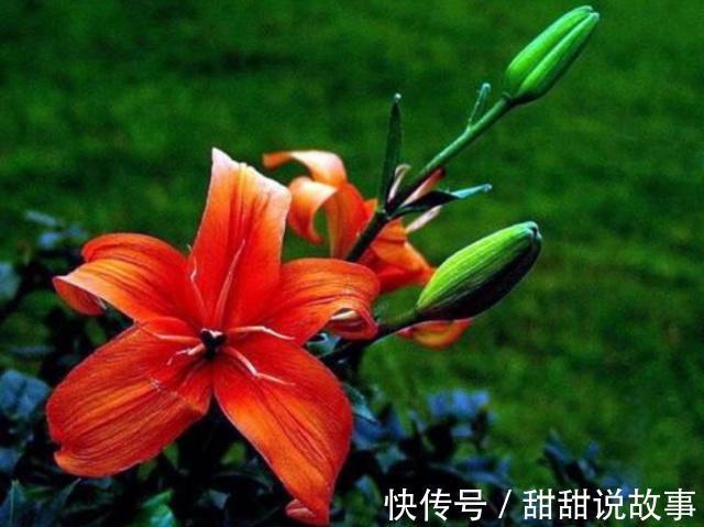 部下|《道德经》懂得此理,就懂得“完美”的内涵!