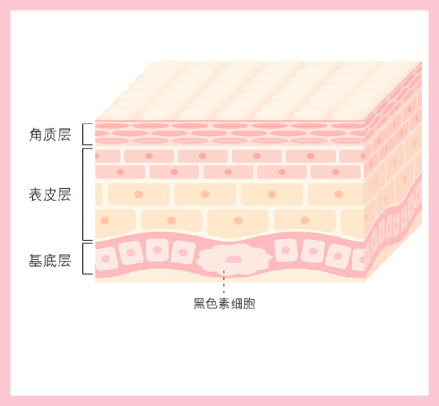 护肤品|熊果苷的护肤品真的可以美白吗