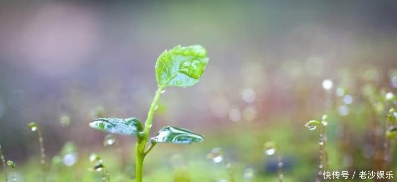 《全唐诗》中被严重低估的一首诗,从开篇美到结尾,值得我们一读