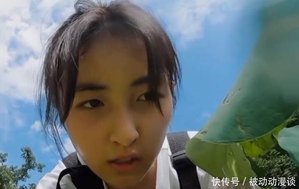 《向往》干活再遭质疑,前有挖藕后有种树,网友:哇偶,当我们瞎