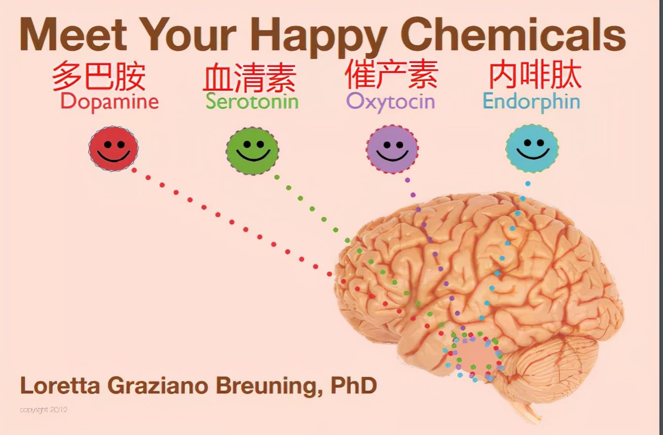 哈佛大学|长期运动的孩子和不运动的孩子，大脑会发生惊人变化