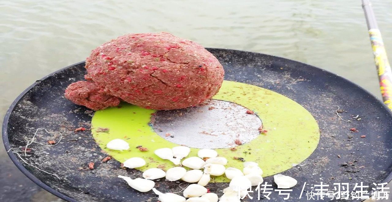 渔获|同样都是钓鱼，为何别人比你钓得多，秘密在这里