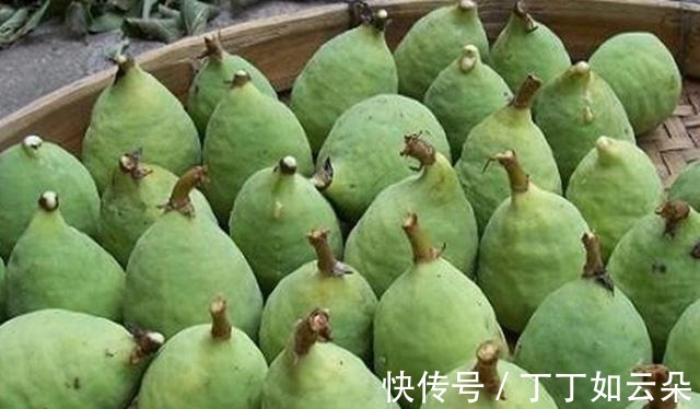 冰粉果|长得像一个秤砣，野外一长一大片，夏季还能拿来做“手搓冰粉”！