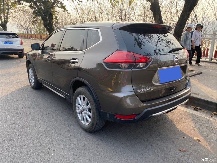 自驾奇骏观赏初春油菜花，采摘小番茄