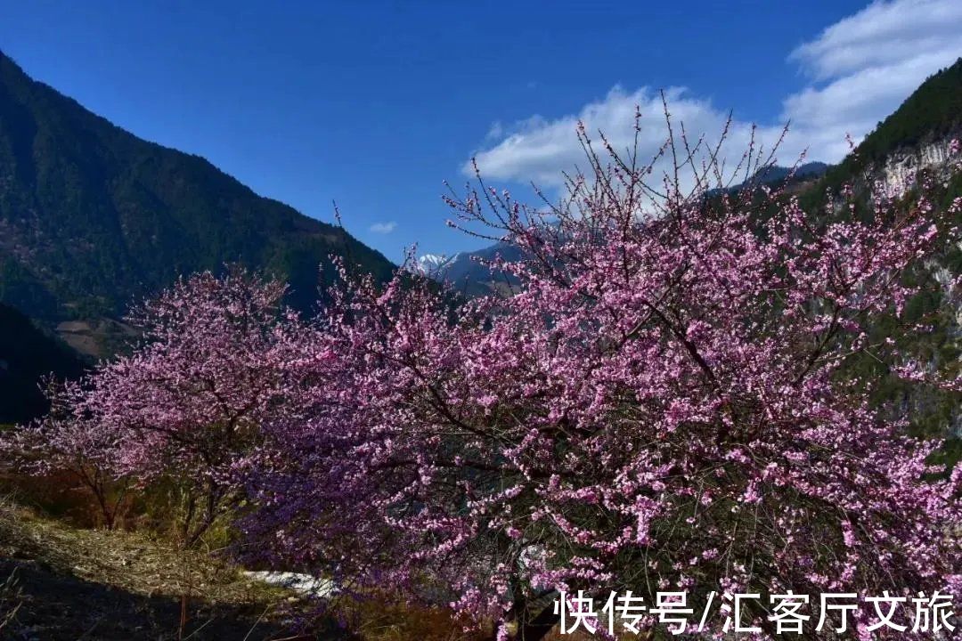 丙察察|桃花盛开，江水如蓝，每年春季丙察察迎来一年中最美的时光