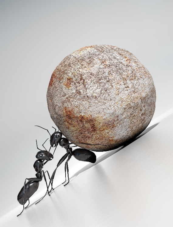 胆固醇|高血脂是吃出来的坚持“两低一高”饮食,2个月轻松吃掉高血脂