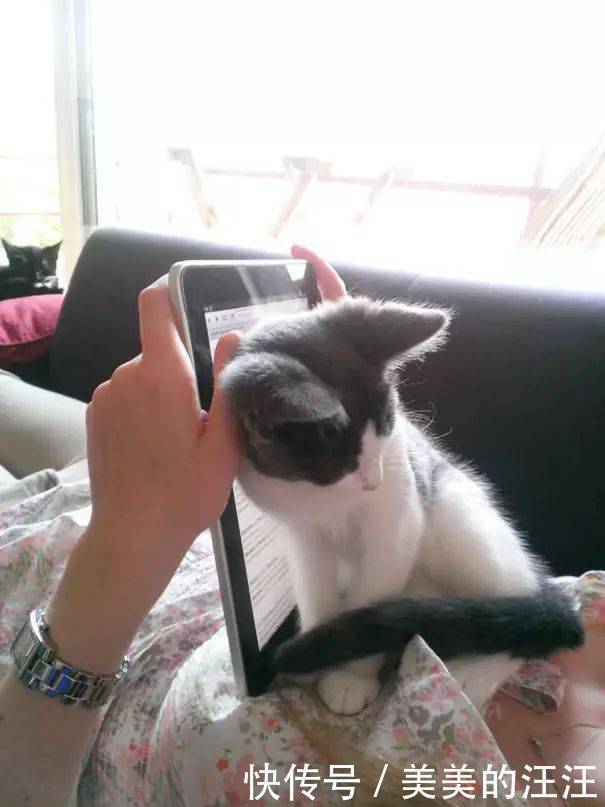 看什么书看书,难道我还没有书好看吗