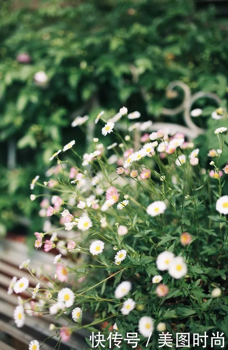 130㎡大露台，花1年改造成“花草蔬果园”，体验屋顶上的田园生活