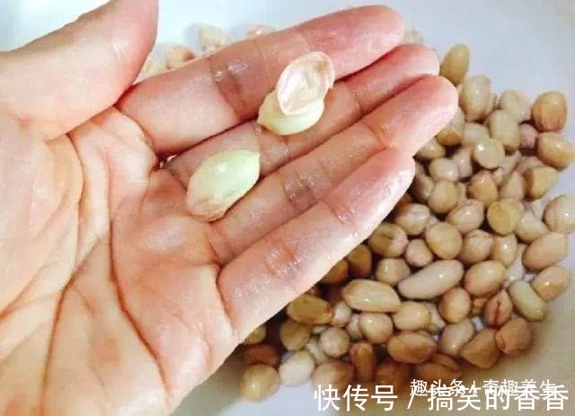 枸杞子|花生加一宝,养胃最厉害,修复胃粘膜,胃不好的人这汤要多喝