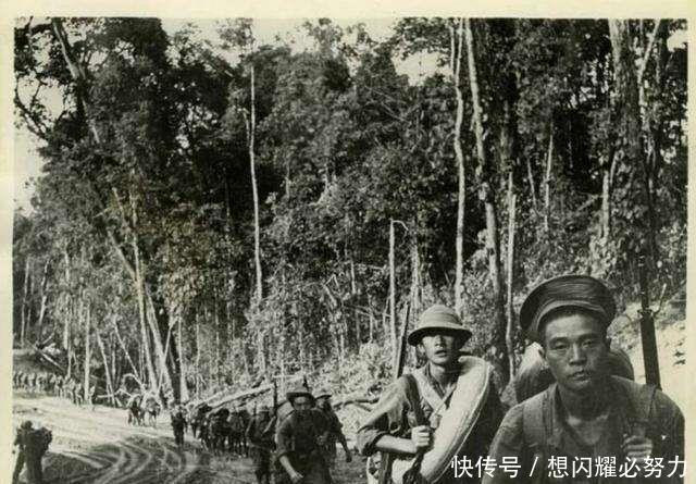 李营长|远征军在山上被日军包围，竟然被一群猴子给救了，气得日军直跺脚！